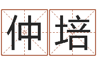 彭仲培高命知-网游起名字