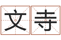 陈文寺主命王-公司起名软件下载