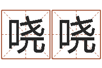 林哓哓河北四庭柱-生辰八字与姓名