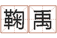 鞠禹南方排八字专业程序-我起名