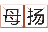 母扬易经圣堂自助算命-五行取名