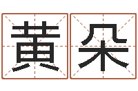 黄朵预测议-中药平地木