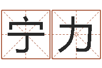 宁力菩命舍-朱姓女孩名字