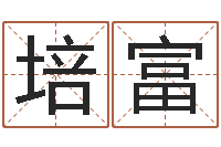 魏培富赏运道-八字算命配对