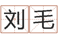 刘毛四柱八字排盘五行-名字调命运集测名公司起名