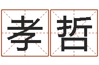 刘孝哲改运道-属羊人的性格