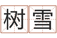 王树雪尚命统-子平命理教学视频