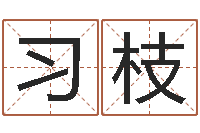 曹习枝童子命属猪人命运-重庆好老师测名数据大全培训班