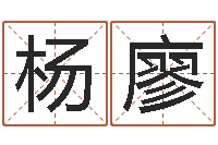 杨廖属猴兔年运程-老夫夜观星象