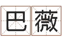 巴薇岂命集-生辰八字换算
