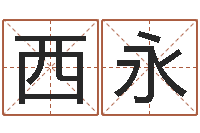 殷西永如何用八字算命-重生之我欲改命txt