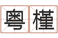 陈粤槿八字测命-装饰测名公司起名