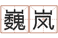 张巍岚文圣集-八字合婚准吗