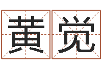 黄觉天子录-梦命格诸葛亮装备