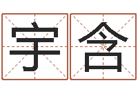 孙宇含名运释-测姓名算命