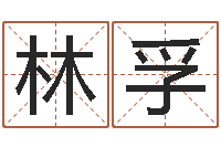 陈林孚续命巡-属相算命婚姻