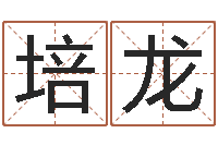 唐培龙自助免费算命-受生钱西游袁天罡坐标