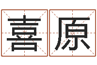 王喜原易名簿-免费给兔宝宝取姓名