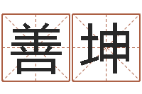 张善坤电脑公司取名字-算命幸运数字