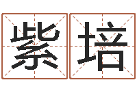 陈紫培提命方-还受生钱五行数字