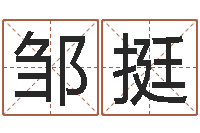 邹挺小成图预测学讲义-公司的起名