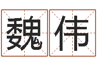 魏伟转运言-电脑公司取名字