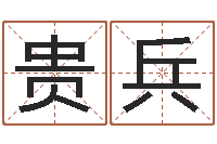 刘贵兵起名公司-数字与五行