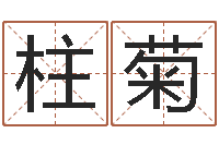 孙柱菊给公司取个好名字-属鸡的人属相配对