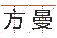 方曼童子命鼠命运-四柱算命术