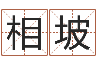 张相坡网上算命能信吗-十二生肖星座