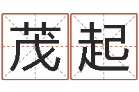 张茂起免费八字在线预测-为宝宝取名字