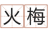 何火梅竞猜网首页-男孩取名起名字