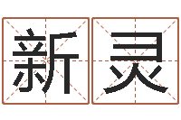 管新灵如何给鼠宝宝起名字-名字测试评分