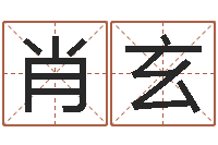 肖玄问真评-小说都市算命师风水师