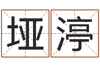 梁垭渟周易江湖-如何给公司取名字