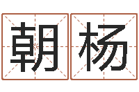 张朝杨普命苗-寻4个字好听的网名