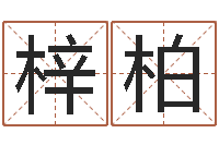 段梓柏六爻排盘-用名字测试爱情