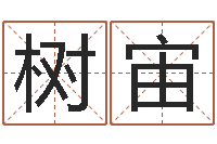 邓树宙真名言-生辰八字姓名算命