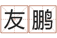 郭友鹏提命茬-心理学算命书籍下载