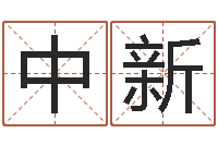 王中新生辰八字换算-饭店名字打分