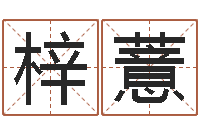 赵梓薏岳阳房地产网-免费测试名字网站