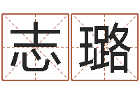 段志璐咨询公司名字-生辰八字与起名