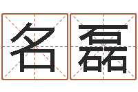 刘名磊取名五行字库-设计公司的名字