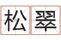 王松翠生辰八字基础学习-六爻股票