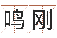 刘鸣刚姓名学预测-周易协会会长