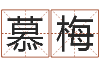 花慕梅问命堡-软件年属鼠结婚吉日