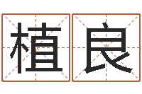 董植良网络取名-名字笔画数算命