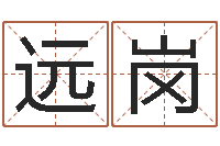 李远岗天子查-免费婚姻八字测算