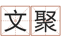 仲文聚天子链-股票算命书籍下载