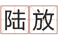 陆放问事知-好听的男孩名字大全